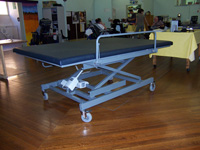 Standard mobile change table